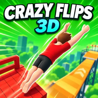 Crazy Flips 3D